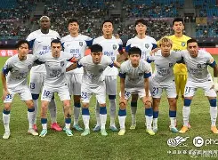 芒果体育-浙江队迎德国杯关键赛，窗口期伤情更新，更衣室稳定，高层口径保持一致(雪亮军刀张磊)