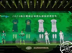 浙江队迎德国杯关键赛，窗口期伤情更新，更衣室稳定，高层口径保持一致(雪亮军刀张磊)